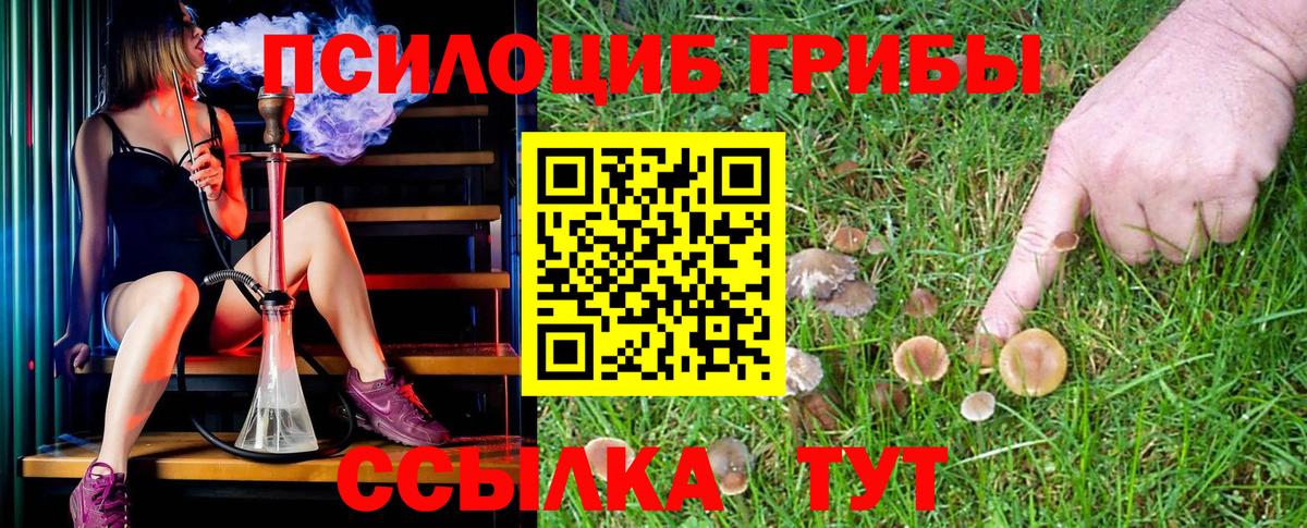 Михайловка  Галлюциногенные грибы Psilocybine cubensis  закладка  Вход с VPN 
